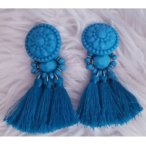 Blue Tassel Earrings💙